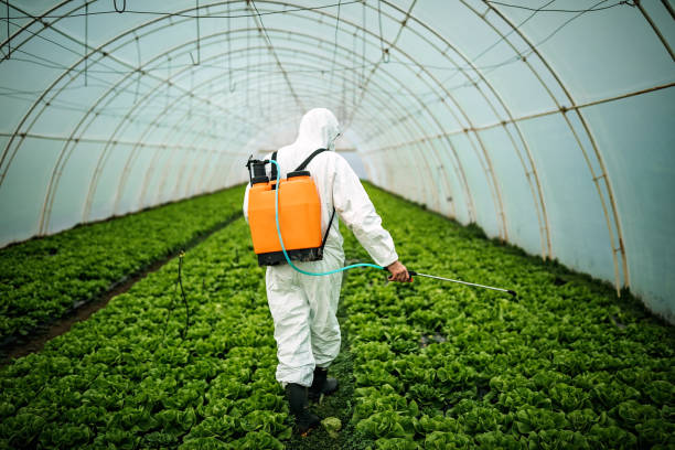 Best Local Pest Control Services  in Medfd, OR