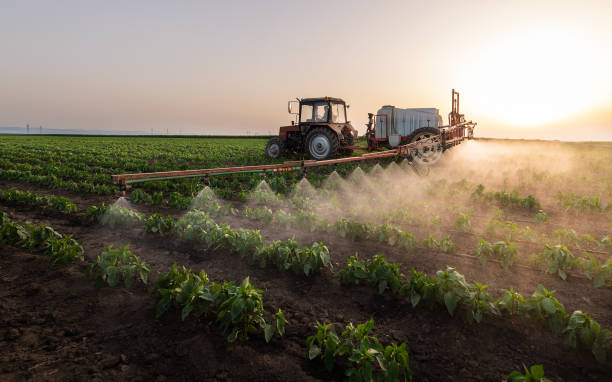 Best Pest Removal Services  in Medfd, OR