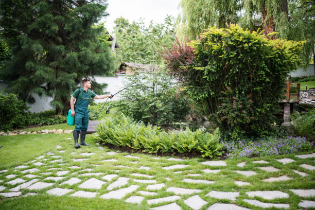Pest Prevention Services in Medford, OR