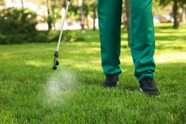 Best Wasp Removal Services  in Medfd, OR