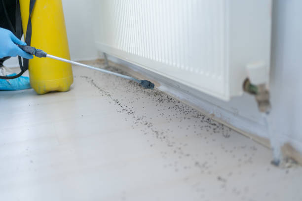 Best Emergency Pest Control  in Medfd, OR
