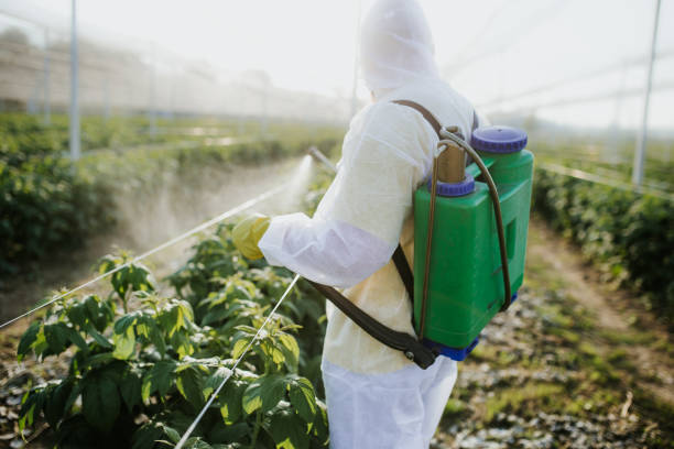Best Best Pest Control Companies  in Medfd, OR